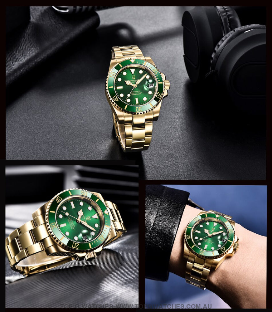 Gold Pagani Design Sapphire Crystal 100M Automatic Mechanical Pd-1661 Wrist Watch Mens Watches
